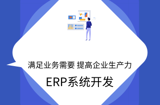 ERP系统开发