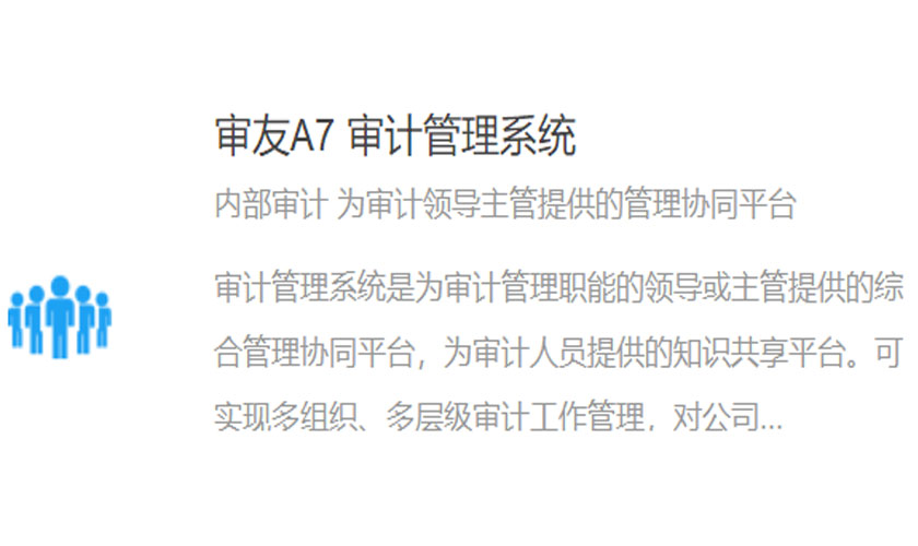 审友A7 审计管理系统